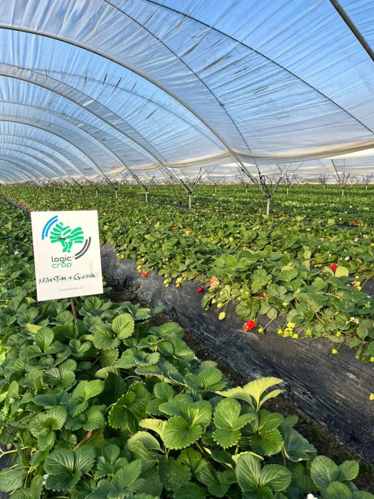 bioestimulantes agricolas andalucia
